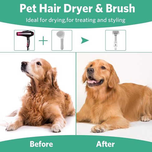 مجفف شعر الكلب المحمول، هادئ 2 في 1، مجفف شعر للحيوانات الأليفة مع فرشاة ناعمة، منفاخ مجفف شعر للأيونات السالبة لتجفيف وتهذيب الكلاب والقطط الصغيرة والمتوسطة in Kuwait