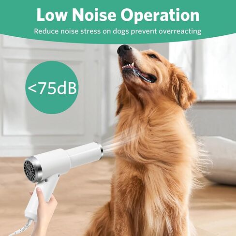 مجفف شعر الكلب المحمول، هادئ 2 في 1، مجفف شعر للحيوانات الأليفة مع فرشاة ناعمة، منفاخ مجفف شعر للأيونات السالبة لتجفيف وتهذيب الكلاب والقطط الصغيرة والمتوسطة in Kuwait