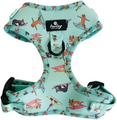 Medium No Pull Dog Harness soft Padded Puppy custom print neoprene in Mint Green breathable adjustable Chest Harness vest for Small Dogs Cats Puppies (M (Neck 12"-14",Chest 17"-22"), MINT in Saudi Arabia