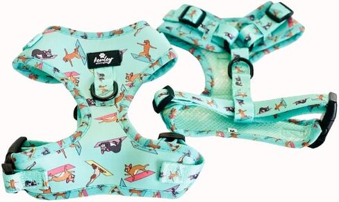 Medium No Pull Dog Harness soft Padded Puppy custom print neoprene in Mint Green breathable adjustable Chest Harness vest for Small Dogs Cats Puppies (M (Neck 12"-14",Chest 17"-22"), MINT in Saudi Arabia