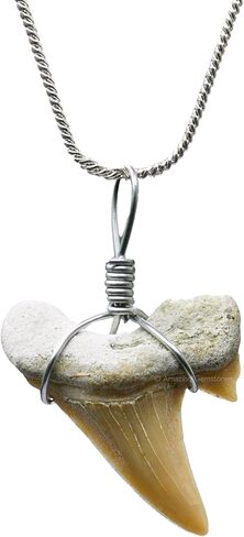 Authentic Shark Tooth Necklace - Unisex Fossil Necklace with Real Shark Teeth - Ideal Shark Tooth Necklace for Boys, Men, Kids and Girls in Kuwait