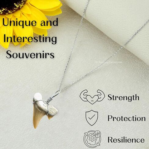 Authentic Shark Tooth Necklace - Unisex Fossil Necklace with Real Shark Teeth - Ideal Shark Tooth Necklace for Boys, Men, Kids and Girls in Kuwait