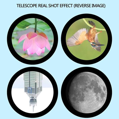 Children Telescope + Microscope Astronomical Telescope Student Education Microscope with 2 Eyepieces+3X Barlow Lens+Tripod Great Astronomy Gift for Beginner Friends Family in Saudi Arabia