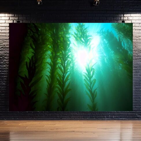 Photography Backdrop Photography Background Underwater Forest Green kelp for Photoshoot Portrait Photo Studio Video Prop Birthday Party Booth Decoration 7x5ft in Saudi Arabia