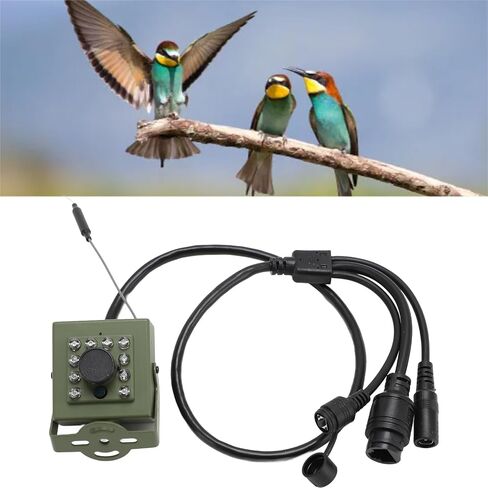 Indoor Outdoor Security Camera, Bird Box Camera with Night Vision, Low Noise Outdoor Camera with Wide Angle Lens for iOS Android (IMX307 CMOS Sensor 2MP) in Saudi Arabia