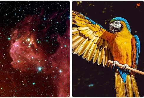 Super Super Super Cids Telescope للبالغين المبتدئين في علم الفلك 700 مم طول بؤري 233x نطاق سفر عبر التلسكوبات الزجاجية المغلفة بالكامل in Saudi Arabia