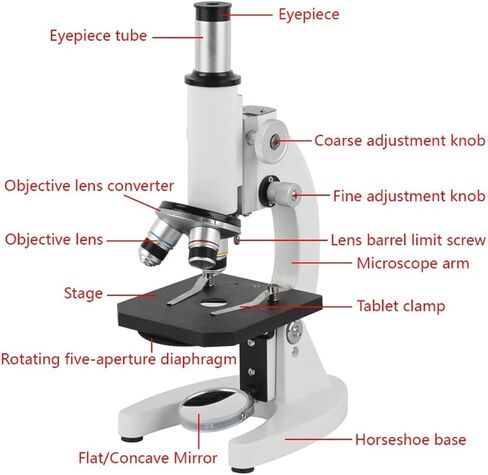 ZTBH Microscope Accessories Kit 40X - 640X Student Biological Microscope Laboratory Professional Biological Trinocular Microscope with HDMI USB Video Camera Microscope Slides (Color : 37MP HDMI USB) in Kuwait