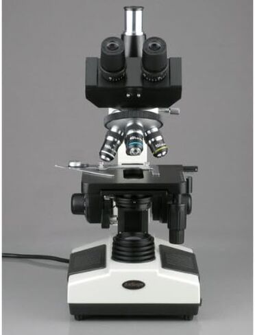 AMSCOPE T390A مجهر ثنائي العين المركب الاحترافي ، تكبير 40 × 1600X ، و WF10X و P16X Eyepieces ، Brightfield ، إضاءة الهالوجين ، مكثف ABBE ، مرحلة ميكانيكية مزدوجة الطبقات ، in Kuwait