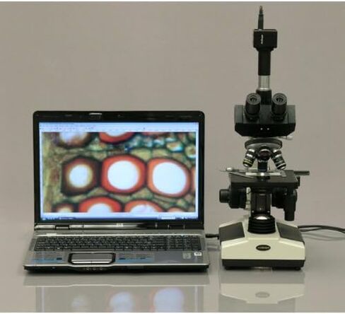 AMSCOPE T390A مجهر ثنائي العين المركب الاحترافي ، تكبير 40 × 1600X ، و WF10X و P16X Eyepieces ، Brightfield ، إضاءة الهالوجين ، مكثف ABBE ، مرحلة ميكانيكية مزدوجة الطبقات ، in Kuwait