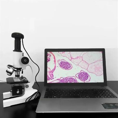 ZTBH Microscope Accessories Kit 640X 800X Monocular Home School Digital Biological Microscope Lab Research Microscopio Microscope Slides (Color : with Lamp, Size : WF20X) in Saudi Arabia