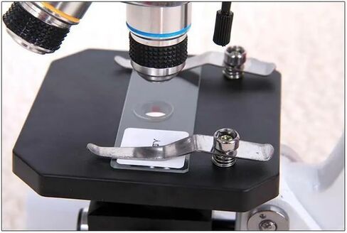 ZTBH Microscope Accessories Kit 640X 800X Monocular Home School Digital Biological Microscope Lab Research Microscopio Microscope Slides (Color : with Lamp, Size : WF20X) in Saudi Arabia