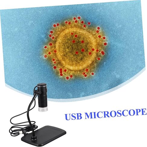 مجهر رقمي محمول PopetPop مع ضوء LED الكاميرا HD Mightor in Saudi Arabia