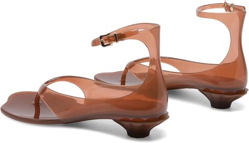 Jelly Shoes for Women Comfortable Clear Flip Flop Low Heel Thong Jelly Sandals with Buckle Ankle Strap Casual Summer Beach Sandals Dressy Clear Womens Pumps. in Saudi Arabia