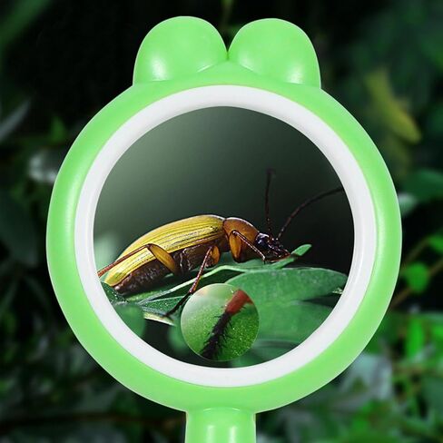 Colorful Glass with Shatterproof Lens Children Holding Glass Magnifier Kids,ABS Plastic Shell, in Kuwait