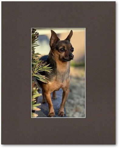 16x20 Matting for 8x13 Photograph or Artwork 4-Ply Bevel Cut Acid Free Matboard for Picture framing (Cloud White) in Kuwait