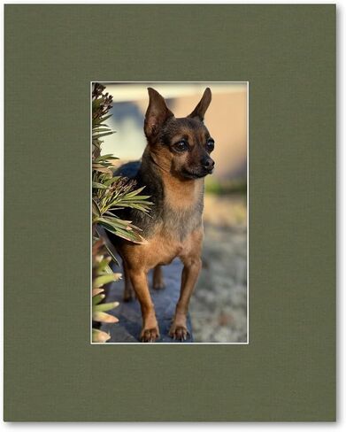 16x20 Matting for 8x13 Photograph or Artwork 4-Ply Bevel Cut Acid Free Matboard for Picture framing (Cloud White) in Kuwait