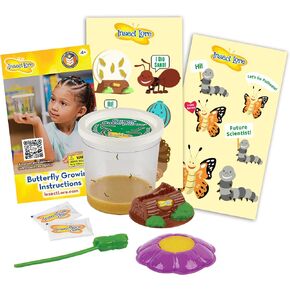 Insect Lore Live Cup of Caterpillars Deluxe