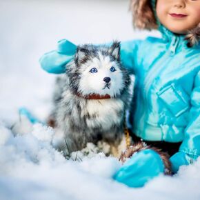 THE QUEEN'S TREASURES 18 Inch Doll Pets, Husky Puppy Dog Pet Friend with Leash and Collar, Compatible for Use with American Girl Dolls