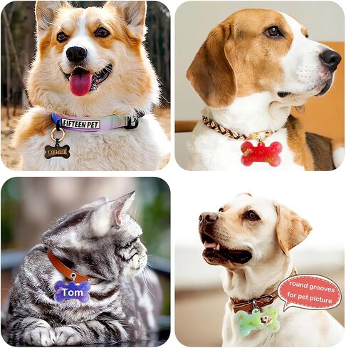 2Pcs Pet Collar Tag Resin Mold 12 Cavities Dog ID Tag Silicone Mold Custom Dog Bone Shaped Keychain Mold with 10Pc Key Rings Charm Epoxy Casting Mold DIY Handmade Jewelry Pendant Making Tool in Saudi Arabia