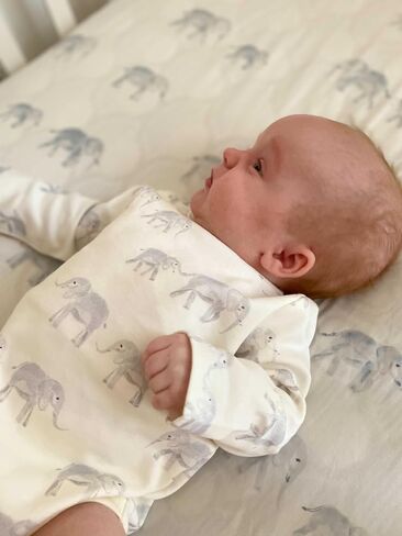 PEHR Shoulder Snap One-Piece | 100% Organic Cotton Baby Bodysuit | Sizes 0-18 Months in Saudi Arabia