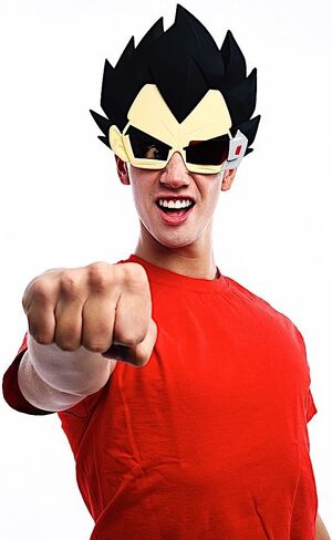 Costume Sunglasses Dragon Ball Z Goku Sun-Staches Party Favors UV400 Black, 8" in Saudi Arabia