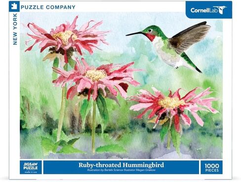 New York Puzzle Company - Cornell Lab Rainbow of Birds - 1000 Piece Jigsaw Puzzle for Adults in Saudi Arabia