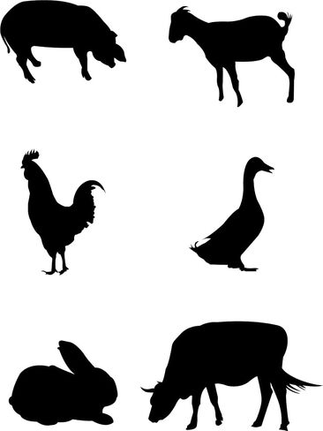 Baby Animals Black and White sty-2 Wall Decals Wall Stickers Peel and Stick Removable Wall Stickers for Kids Nursery Bedroom Living Room in Saudi Arabia