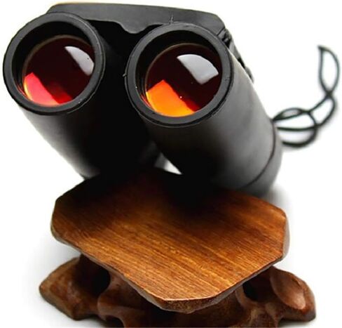 Small, Compact, and Lightweight Folding Binoculars Telescope - Perfect for Low Light Conditions, Outdoor, Travel, and Sightseeing in Saudi Arabia