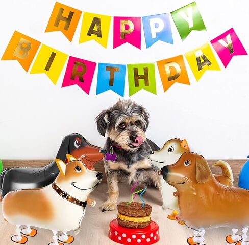 6 Pcs Walking Animal Balloons for Kids,Farm Animal Balloons,Walking Farm Animal Foil Mylar Balloon,Farm Birthday Decorations for Farm Theme Party Supplies(Rooster,Duck,Horse,Cow,Pig, Sheep) in Kuwait
