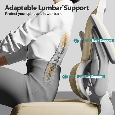Office Chair - Ergonomic Desk Chair with Adjustable Lumbar Support, Mesh Computer Chair, Executive Chair for Home Office Comfortable Lumbar Support (White White) in Saudi Arabia