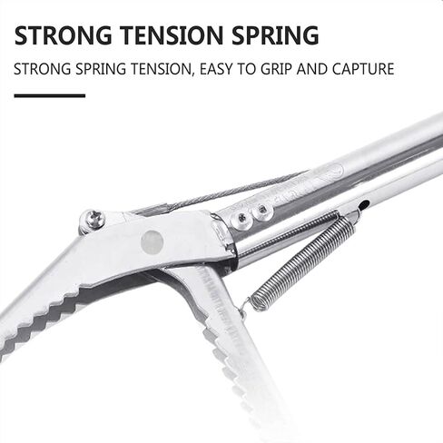 Gerrit ثعبان الأفعى الزواحف الاستيلاء على أفعى الأفعى ثعبان هوك القضبان الصلب المقاوم للصدأ الصلب in Kuwait