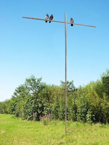 عمود تثبيت شجرة الحمامة ، تقف بقطب محمولة 9 أقدام للأعمال الخارجية مع شرك الحمامة (شرك الحمامة غير مدرجة) in Kuwait