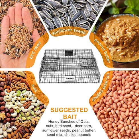 فخ السنجاب القوارض القوارض القوارض للقبض على الإنسان والإطلاق ، ويحمل ما يصل إلى 25 سنجاب in Kuwait