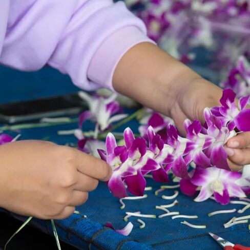 مجموعة إبر Lei، 4 قطع إبر تنجيد طويلة وخيط إبر خياطة طويلة 30.48 سم من أجل إكسسوارات الخياطة إكليل الزهور من هاواي ليز للتخرج in Kuwait