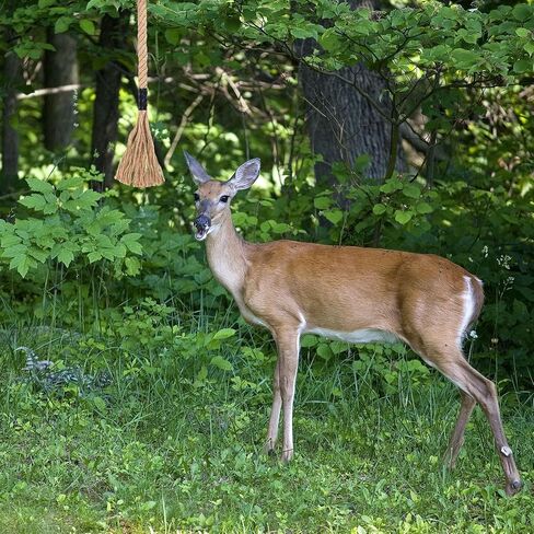Deer Scent Rope Hemp Rope for Deer Mock Scrape System Rigid Hanging Attractant Scrape Licking Scent Rub Jute Anywhere for Hunting Accessories Hunter Gifts in Saudi Arabia