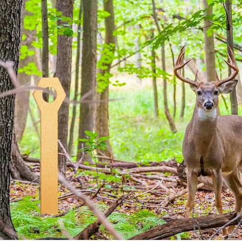 Tatuo 15 Pieces Expandable Deer Urine Wicks Disseminate Scent Buck Attractor Absorb Doe Urine Wicks Estrus Bucks (Light Brown) in Kuwait