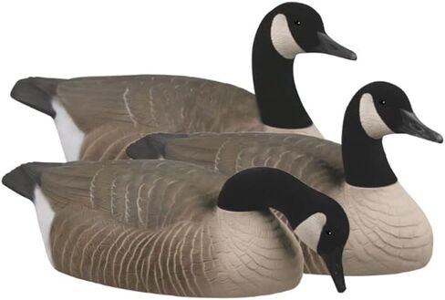 Greenhead Gear Canada Goose Shells in Saudi Arabia