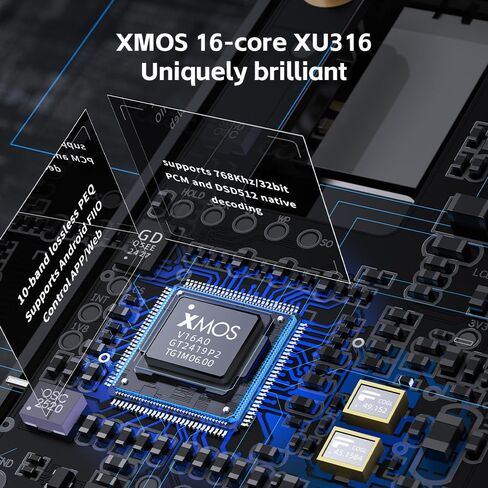 Fiio QX13 DAC AMP ، ES9027PRO 8-CH DAC ، 900MW × 2 ، XMOS 16-CORE ، 10 نطاقات ، جسم ألياف الكربون ، شاشة اللون (أسود) in Saudi Arabia