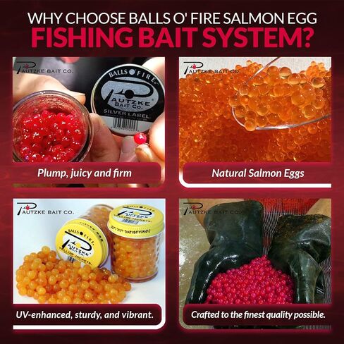 Pautzke Balls O' Fire Salmon Eggs Fishing Bait - Famous & Effective Trout Bait - UV Enhanced Accesorios de Pesca - Leading Power Bait Fishing Trout with Satisfying Salmon Fish Eggs (Green Label, 1 oz) in Saudi Arabia