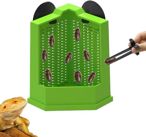حرب Chameleon Feeder Beated Dragon Dragon Feeder Resered Crecket Resered مع كوب شفط ، مغذي الحشرات المثبتة على الحائط ، ملحقات الخزانات للسحلية ، الإغوانا ، Gecko ، الضفدع (متوسط) in Kuwait