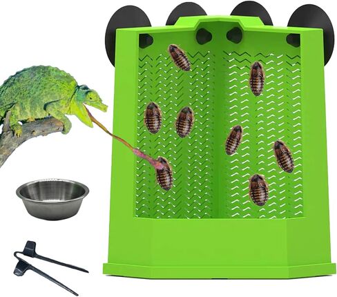 Chameleon Feeder Bearded Dragon Feeder Box Reptile Feeder Cricket Feeder with Suction Cup, Wall Mounted Insect Feeder, Tank Accessories for Lizard, Iguana, Gecko, Frog (Medium) in Kuwait