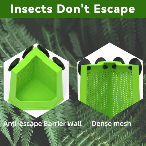 Chameleon Feeder Bearded Dragon Feeder Box Reptile Feeder Cricket Feeder with Suction Cup, Wall Mounted Insect Feeder, Tank Accessories for Lizard, Iguana, Gecko, Frog (Medium) in Kuwait