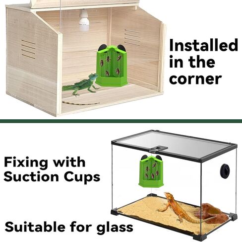 حرب Chameleon Feeder Beated Dragon Dragon Feeder Resered Crecket Resered مع كوب شفط ، مغذي الحشرات المثبتة على الحائط ، ملحقات الخزانات للسحلية ، الإغوانا ، Gecko ، الضفدع (متوسط) in Kuwait