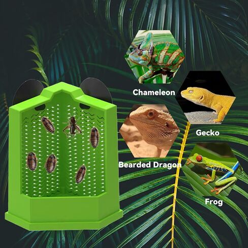 حرب Chameleon Feeder Beated Dragon Dragon Feeder Resered Crecket Resered مع كوب شفط ، مغذي الحشرات المثبتة على الحائط ، ملحقات الخزانات للسحلية ، الإغوانا ، Gecko ، الضفدع (متوسط) in Kuwait