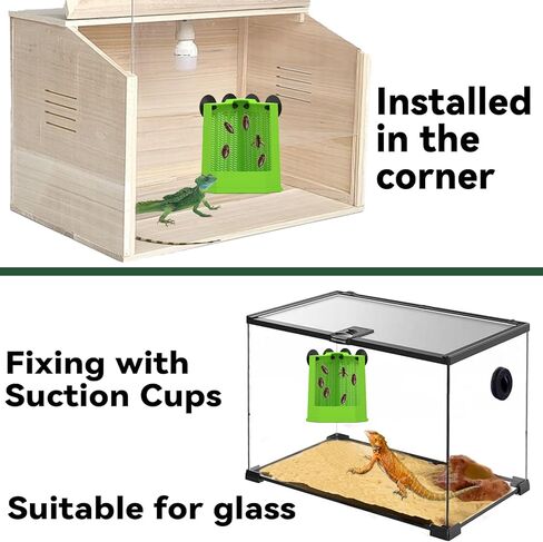 Chameleon Feeder Bearded Dragon Feeder Box Reptile Feeder Cricket Feeder with Suction Cup, Wall Mounted Insect Feeder, Tank Accessories for Lizard, Iguana, Gecko, Frog (Medium) in Kuwait