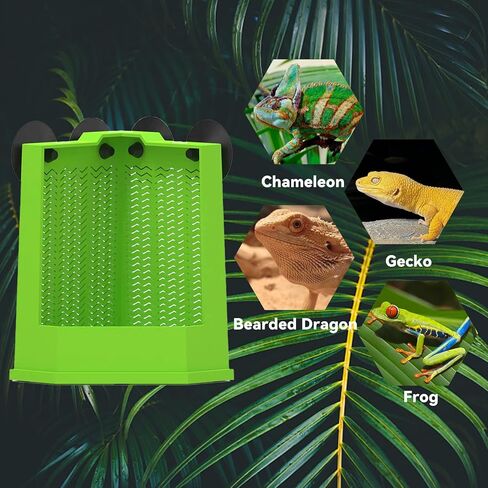 Chameleon Feeder Bearded Dragon Feeder Box Reptile Feeder Cricket Feeder with Suction Cup, Wall Mounted Insect Feeder, Tank Accessories for Lizard, Iguana, Gecko, Frog (Medium) in Kuwait