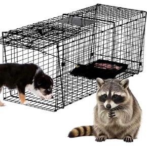 37" Live Raccoon Trap Cage Heavy Duty,Humane Live Animals Trap for Raccoons,Stray Cats, Groundhogs, and Other Medium Animals. Large,Black. in Saudi Arabia