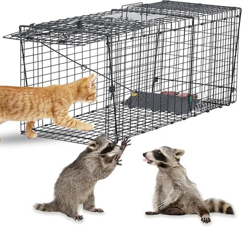 Humane Live Animal Trap for Raccoons, Stray Cats, and Similar-Sized Animals. 37 inch Large Heavy-Duty Construction, Reusable, Black Finish to Minimize Reflection and Glare. in Saudi Arabia