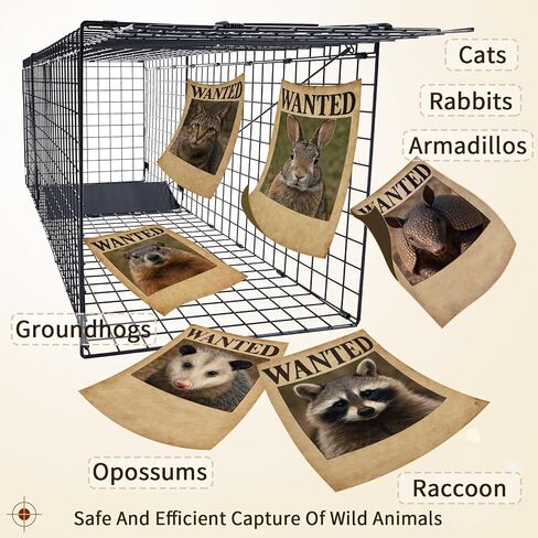 Humane Live Animal Trap for Raccoons, Stray Cats, and Similar-Sized Animals. 37 inch Large Heavy-Duty Construction, Reusable, Black Finish to Minimize Reflection and Glare. in Saudi Arabia