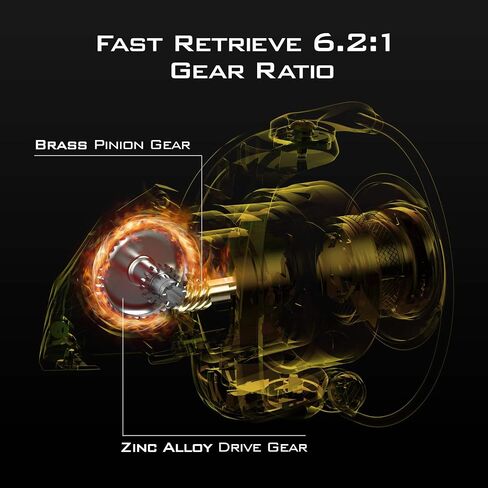 KastKing Valiant Eagle Gold Spinning Reel - 6.2:1 High-Speed Gear Ratio, Freshwater and Saltwater Fishing Reel, Faster Line Retrieve, Braid Ready Spool, 7+1 Shielded Stainless Steel Ball Bearings in Saudi Arabia